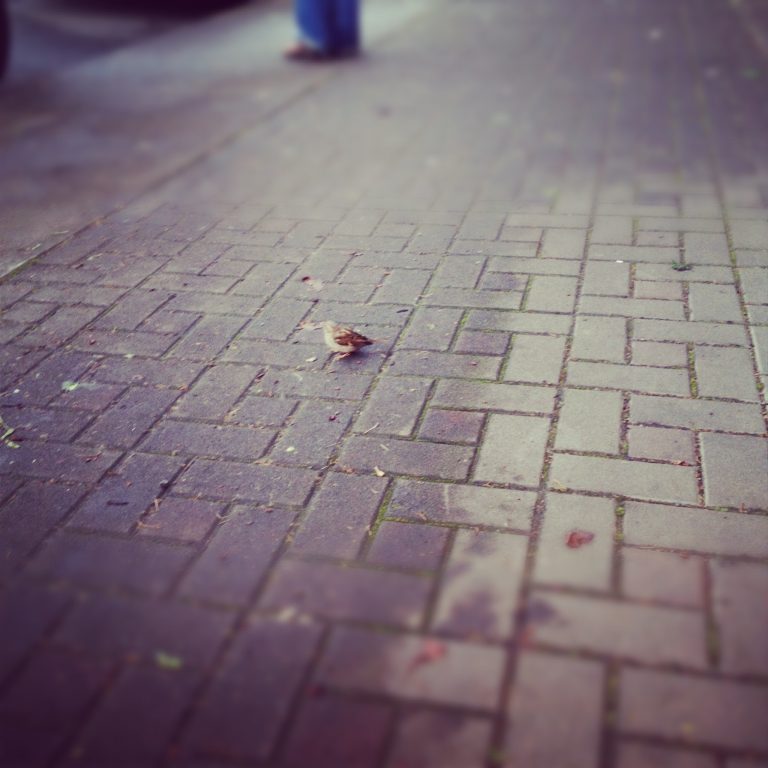 Run Away